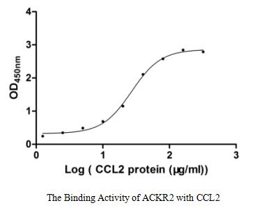 Excellent Bioactivity Validated by Functional ELISA