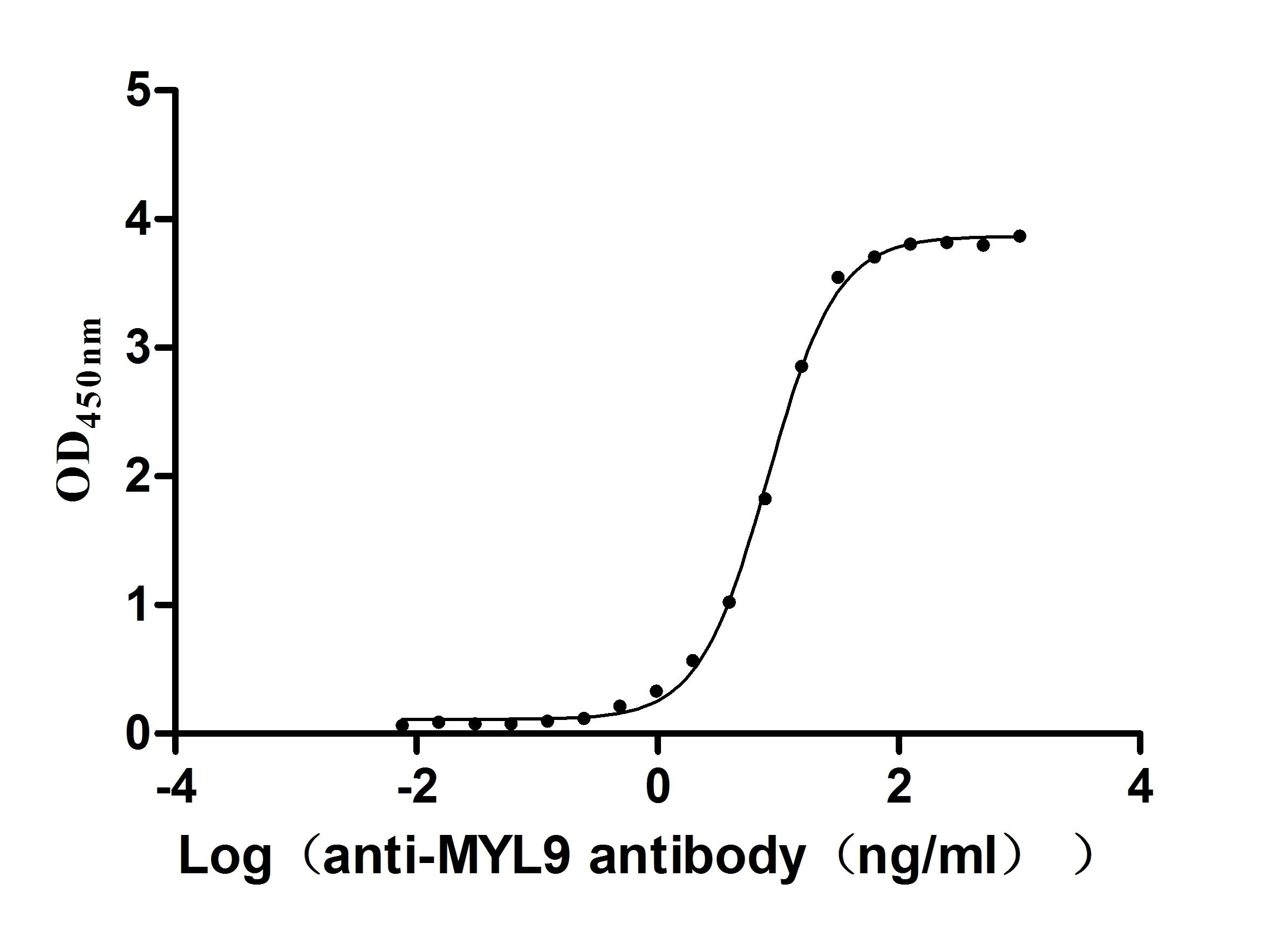 Human MYL12B Protein, Active Verified